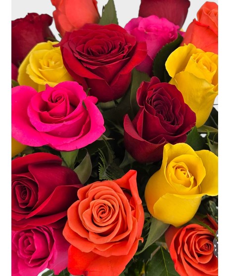 Rainbow wishes for your loved one! all the best and brightest color available in this mixed dozen