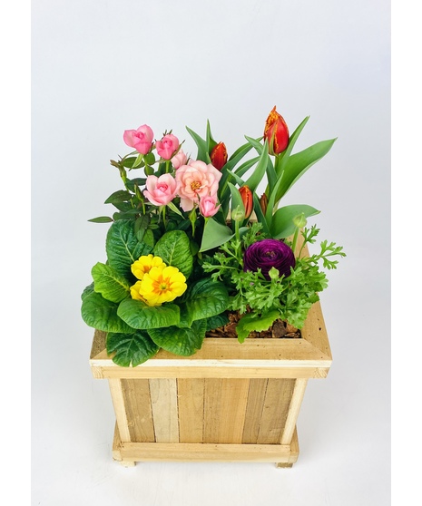 An outdoor cedar patio planter overflowing with seasonal plants.