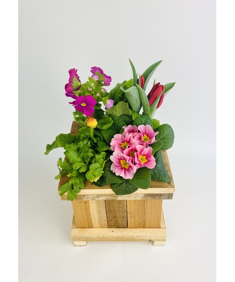 An outdoor cedar patio planter overflowing with seasonal plants.