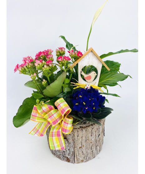 A colorful concrete planter overflowing with blooming indoor plants. 