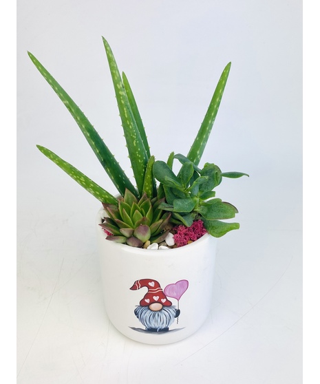 Show someone how much you care for them with this festive planter filled with succulents and Aloe Vera!