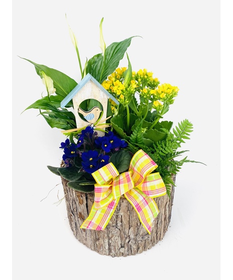 A colorful concrete planter overflowing with blooming indoor plants. 