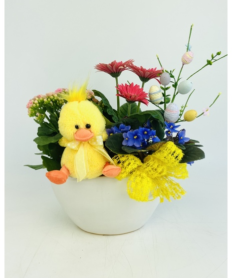 A precious baby duckling combined with a sweet colorful dish garden.