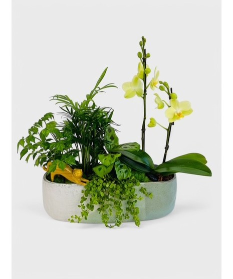 This beautiful orchid in a modern-inspired ceramic planter with tropical greenery is the perfect place for your feline to relax. 