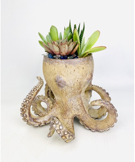 This succulent octopus planter is the perfect long lasting gift for any Kraken fan!  These assorted succulents are accented with pebbles and seaglass. 