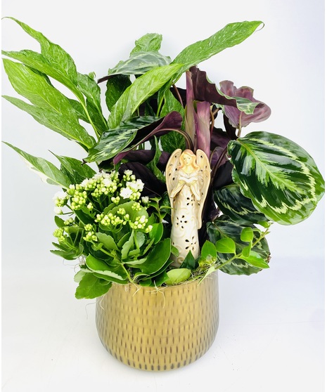 A peaceful easy care garden of tropical green plants, planted in a beautiful hammered gold planter. 