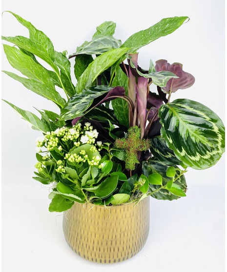 A peaceful easy care garden of tropical green plants, planted in a beautiful hammered gold planter. 