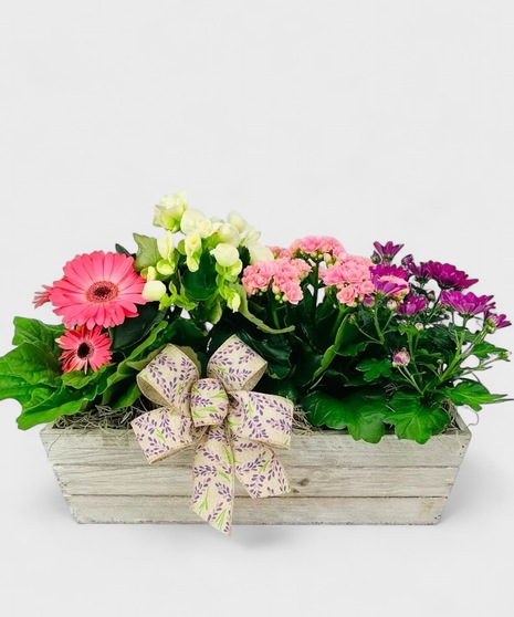 A rustic wooden crate filled with blooming plants and a 2.8oz bag of salted caramel bark for the gardener in your life. Plants may vary from picture based on availability.