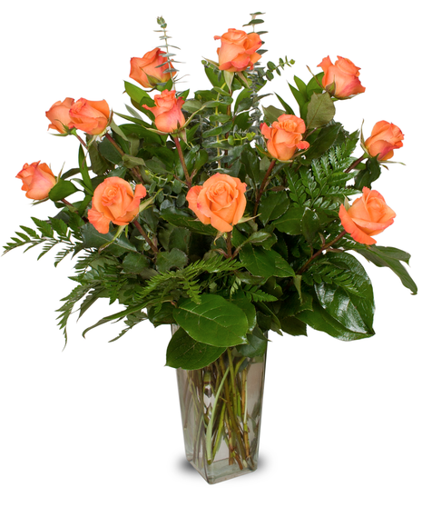 One dozen premium long-stemmed orange roses which symbolize desire and enthusiasm.