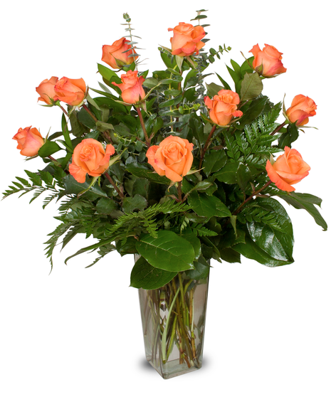 Orange Roses