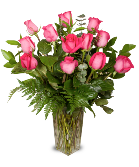 One dozen premium long-stemmed pink roses