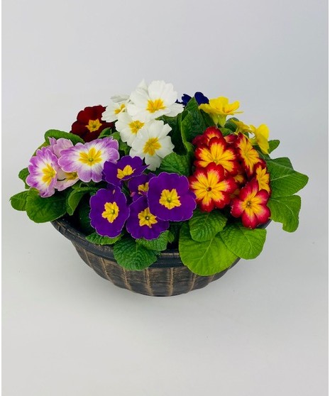 A beautiful planter filled with an assortment of outdoor spring flowers. A great way to brighten up the outdoors!