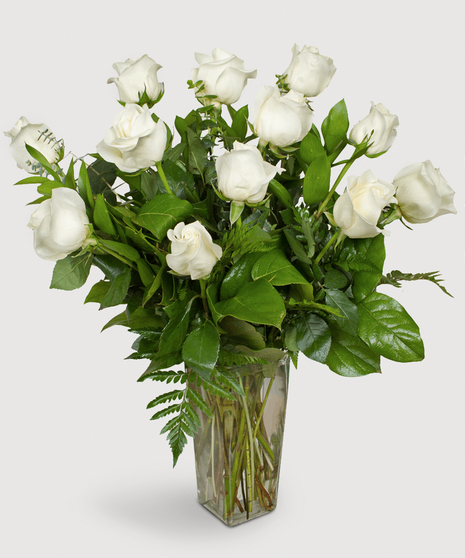 One dozen premium long-stemmed white roses