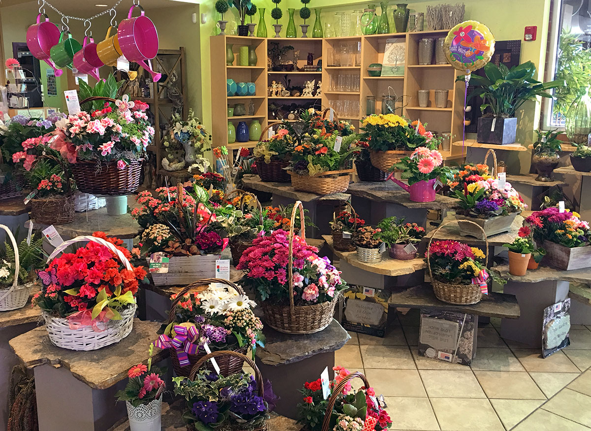 Gorgeous flower and plant arrangements in a wide range of pots and baskets